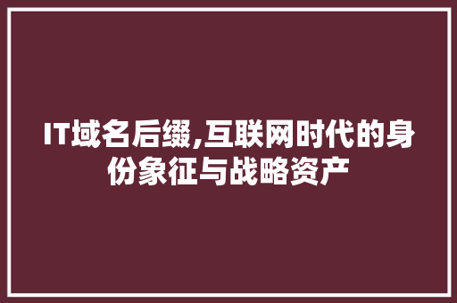 IT域名后缀,互联网时代的身份象征与战略资产