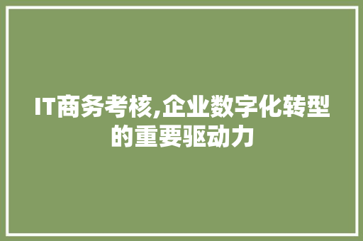 IT商务考核,企业数字化转型的重要驱动力 神马SEO