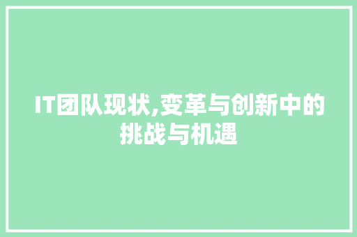 IT团队现状,变革与创新中的挑战与机遇 百度SEO
