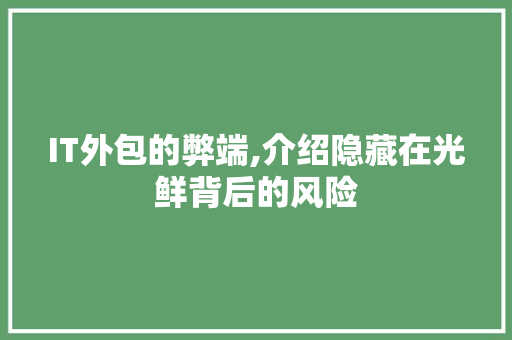 IT外包的弊端,介绍隐藏在光鲜背后的风险 神马SEO