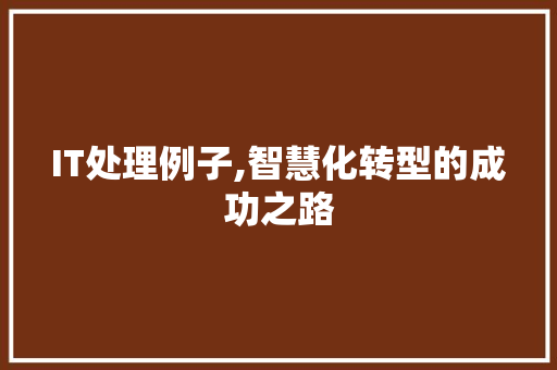 IT处理例子,智慧化转型的成功之路 SEO关键词