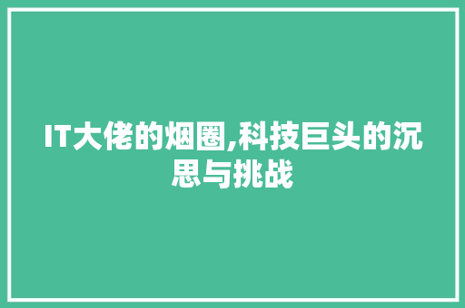IT大佬的烟圈,科技巨头的沉思与挑战 SEO关键词
