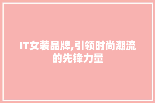 IT女装品牌,引领时尚潮流的先锋力量