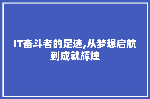 IT奋斗者的足迹,从梦想启航到成就辉煌