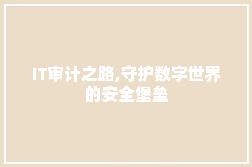 IT审计之路,守护数字世界的安全堡垒