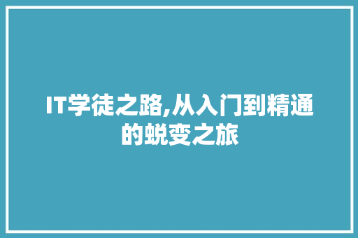 IT学徒之路,从入门到精通的蜕变之旅 必应SEO