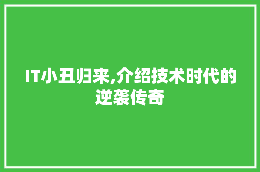IT小丑归来,介绍技术时代的逆袭传奇
