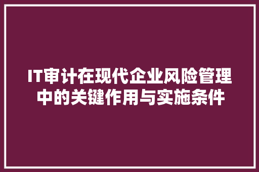 IT审计在现代企业风险管理中的关键作用与实施条件 神马SEO