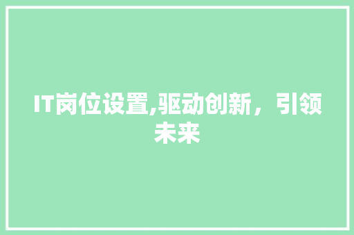 IT岗位设置,驱动创新，引领未来 神马SEO