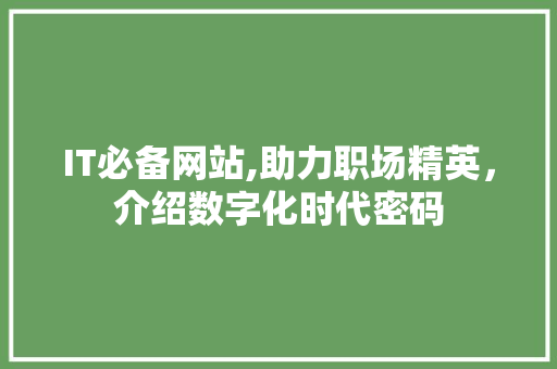 IT必备网站,助力职场精英，介绍数字化时代密码