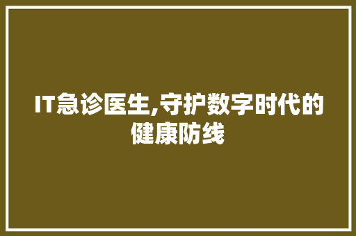 IT急诊医生,守护数字时代的健康防线