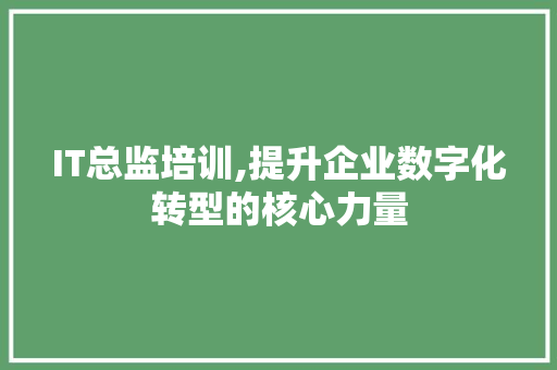 IT总监培训,提升企业数字化转型的核心力量