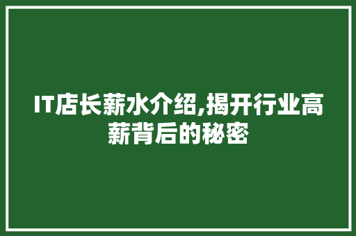 IT店长薪水介绍,揭开行业高薪背后的秘密 神马SEO