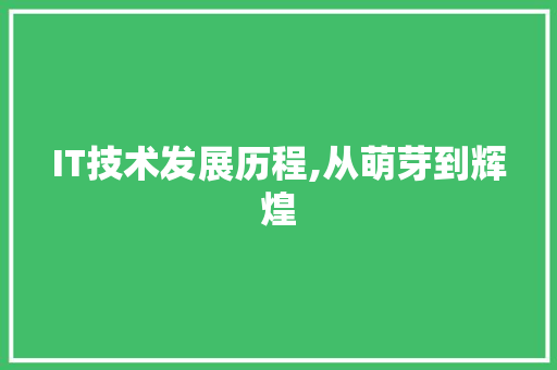 IT技术发展历程,从萌芽到辉煌
