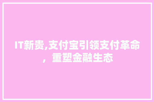 IT新贵,支付宝引领支付革命，重塑金融生态 网站建设公司