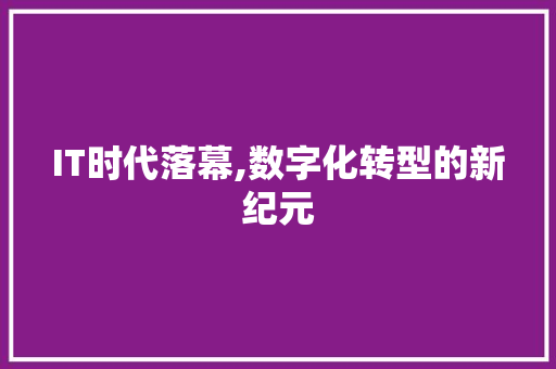 IT时代落幕,数字化转型的新纪元 百度SEO