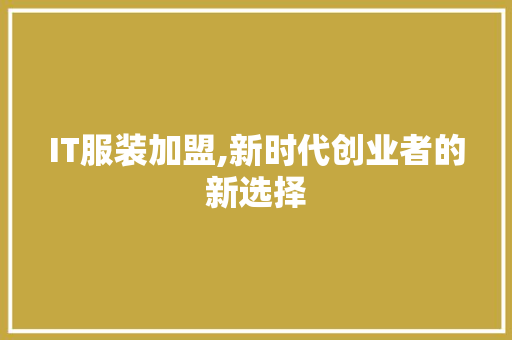 IT服装加盟,新时代创业者的新选择