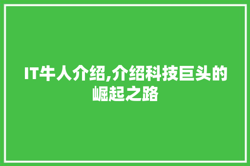 IT牛人介绍,介绍科技巨头的崛起之路