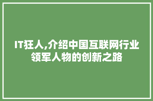 IT狂人,介绍中国互联网行业领军人物的创新之路