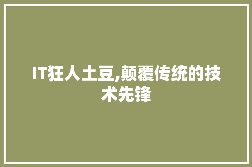 IT狂人土豆,颠覆传统的技术先锋