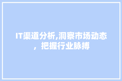 IT渠道分析,洞察市场动态，把握行业脉搏