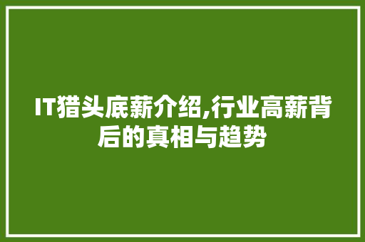 IT猎头底薪介绍,行业高薪背后的真相与趋势