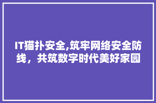 IT猫扑安全,筑牢网络安全防线，共筑数字时代美好家园