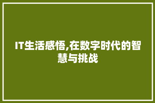 IT生活感悟,在数字时代的智慧与挑战