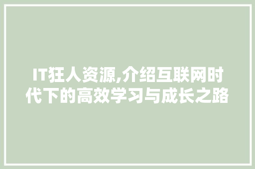 IT狂人资源,介绍互联网时代下的高效学习与成长之路 神马SEO