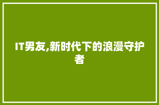 IT男友,新时代下的浪漫守护者 搜狗SEO