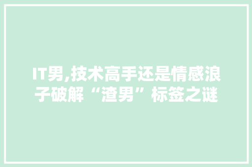 IT男,技术高手还是情感浪子破解“渣男”标签之谜