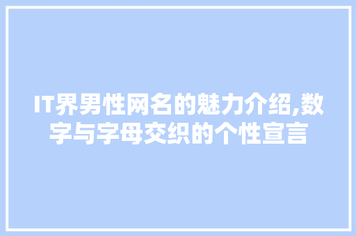 IT界男性网名的魅力介绍,数字与字母交织的个性宣言