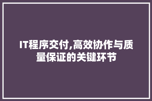 IT程序交付,高效协作与质量保证的关键环节 网站建设公司
