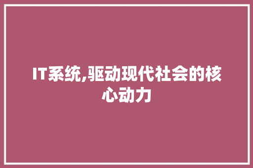 IT系统,驱动现代社会的核心动力 网站建设公司
