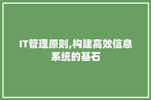 IT管理原则,构建高效信息系统的基石