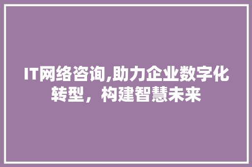 IT网络咨询,助力企业数字化转型，构建智慧未来