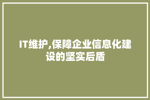 IT维护,保障企业信息化建设的坚实后盾