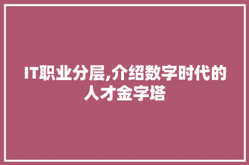IT职业分层,介绍数字时代的人才金字塔
