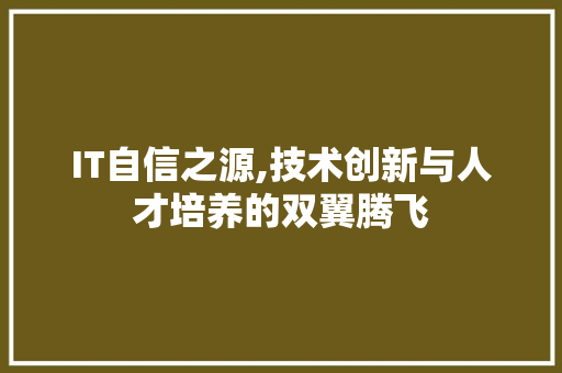 IT自信之源,技术创新与人才培养的双翼腾飞
