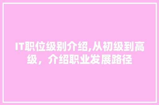 IT职位级别介绍,从初级到高级，介绍职业发展路径