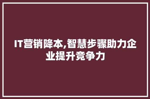IT营销降本,智慧步骤助力企业提升竞争力 SEO关键词