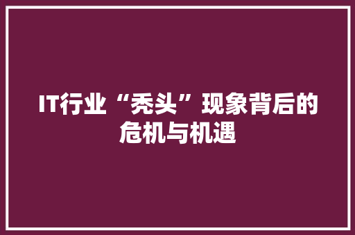IT行业“秃头”现象背后的危机与机遇 搜狗SEO