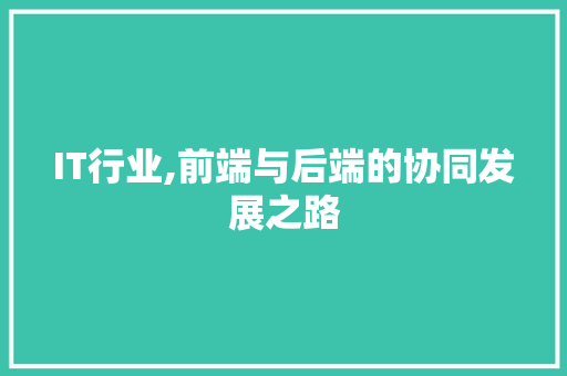 IT行业,前端与后端的协同发展之路 神马SEO