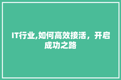 IT行业,如何高效接活，开启成功之路 百度SEO
