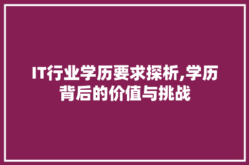 IT行业学历要求探析,学历背后的价值与挑战