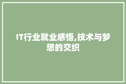 IT行业就业感悟,技术与梦想的交织 网站建设公司