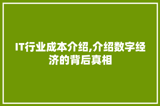 IT行业成本介绍,介绍数字经济的背后真相 百度SEO