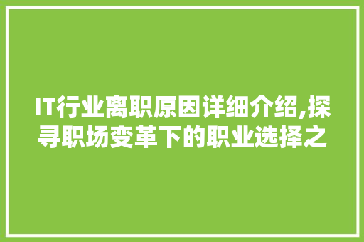 IT行业离职原因详细介绍,探寻职场变革下的职业选择之路 SEO关键词