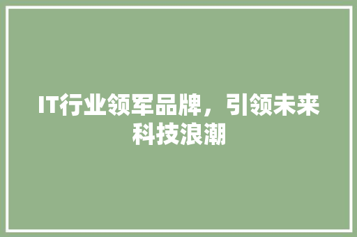 IT行业领军品牌，引领未来科技浪潮