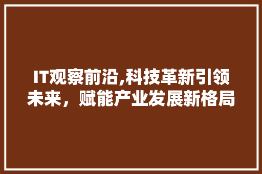 IT观察前沿,科技革新引领未来，赋能产业发展新格局
